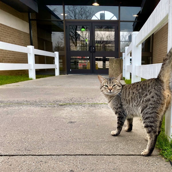 Rest Area I77 North Rest Area in Richburg