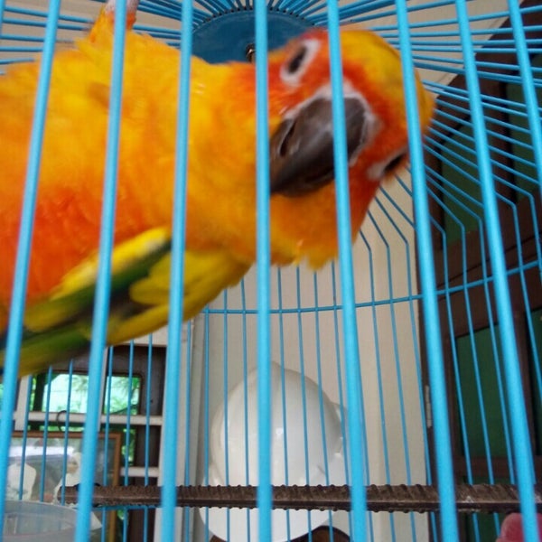 Photos At Taman Burung