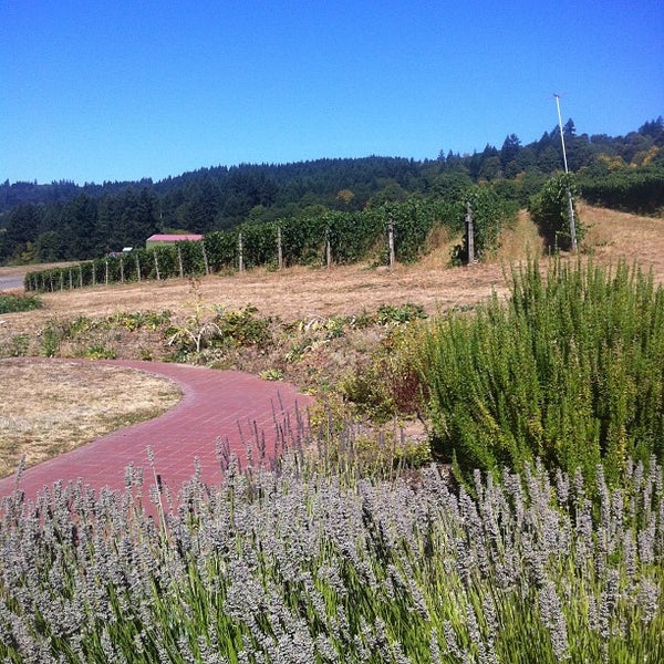 รูปภาพถ่ายที่ REX HILL Vineyards &amp; Winery โดย Peter R. เมื่อ 9/16/2012