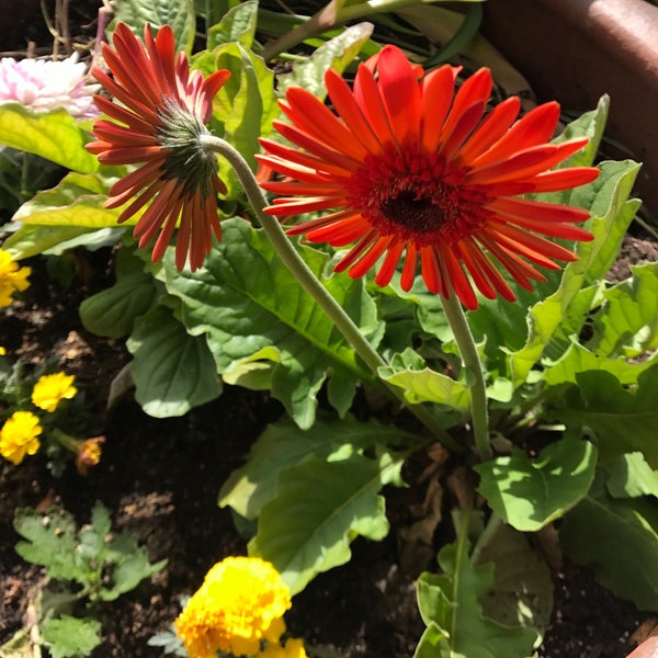 Rite Aid Pharmacy in Seattle