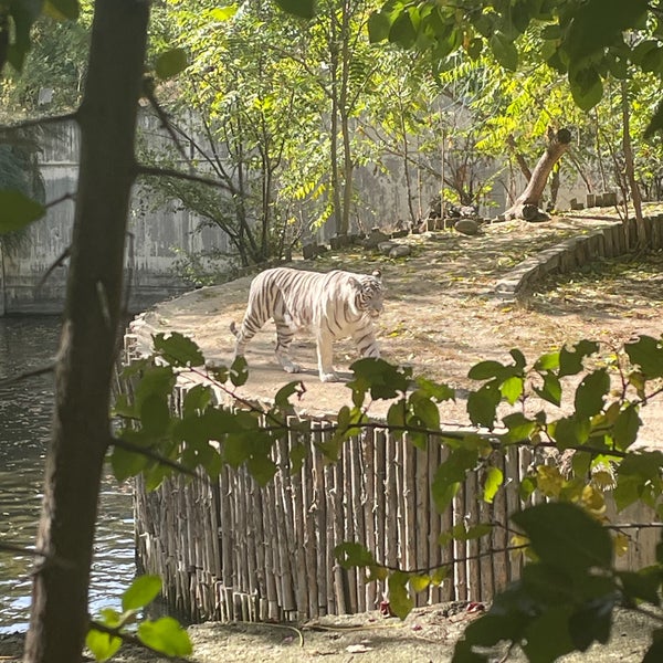 Photo taken at Sofia Zoo by Eli T. on 10/21/2023