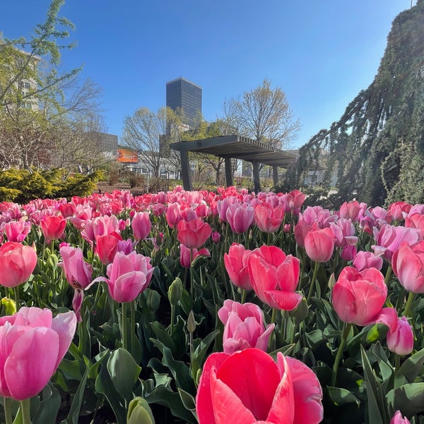 4/4/2021 tarihinde Horacio N.ziyaretçi tarafından Myriad Botanical Gardens'de çekilen fotoğraf