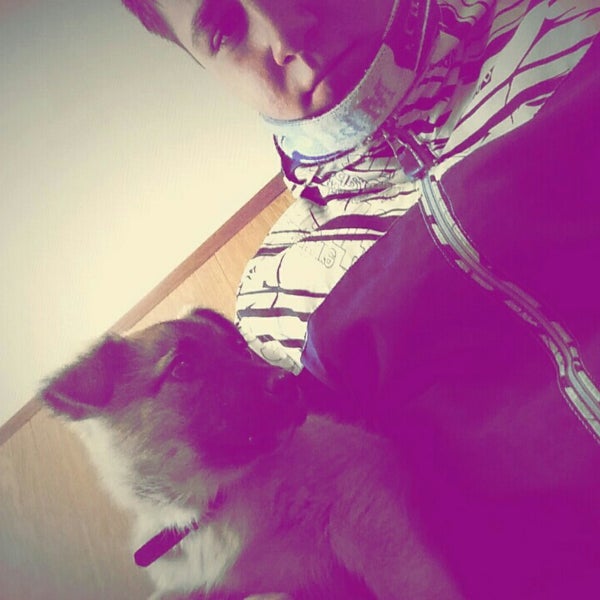 Улица избирателей 42 екатеринбург. Избирателей 148 уралмаш. Избирателей 148/1 беседки екатеринбург. Улица избирателей 42 екатеринбург. Ветеринарная клиника екатеринбург уралмаш избирателей 148.