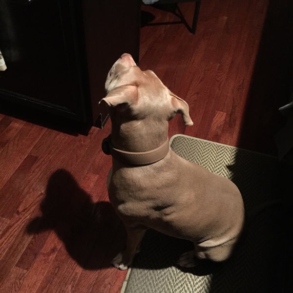 Clublands Clubhouse Event Space in Plainfield