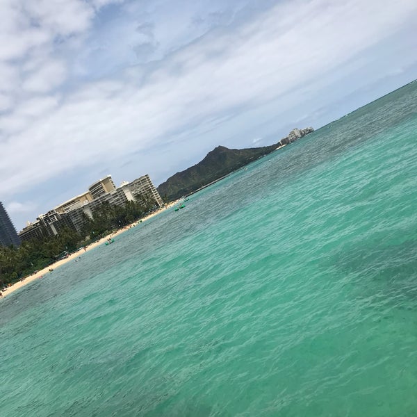 5/10/2018にKylene H.がAtlantis Submarines Waikikiで撮った写真