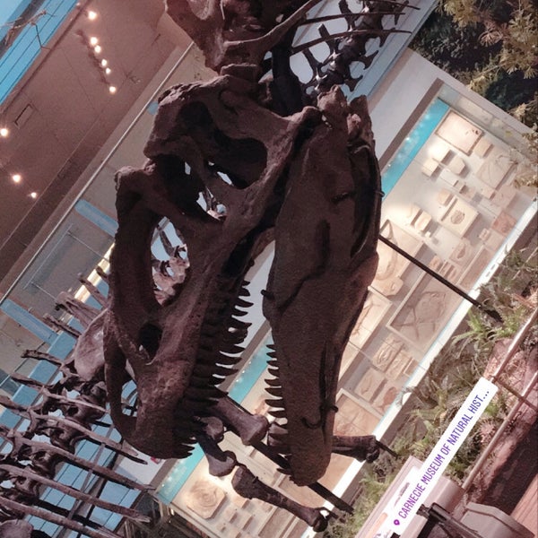 Photo taken at Carnegie Museum of Natural History by Ian E. on 7/9/2020