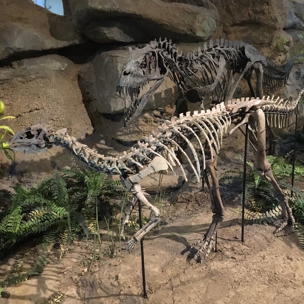 Foto diambil di Carnegie Museum of Natural History oleh Ian E. pada 3/21/2021