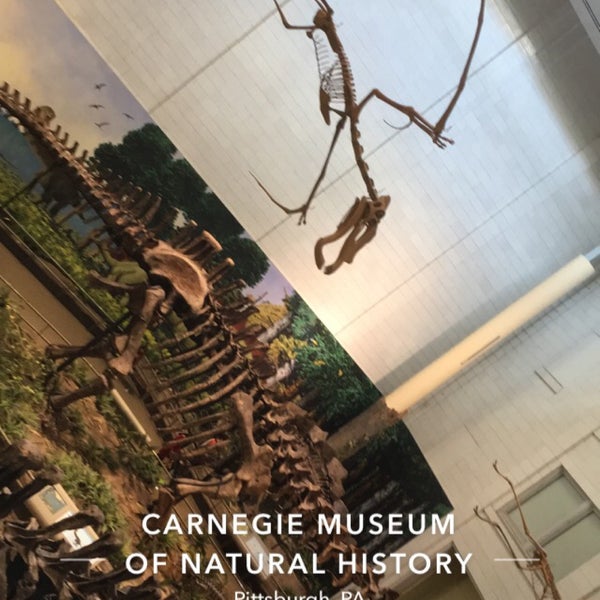 Das Foto wurde bei Carnegie Museum of Natural History von Ian E. am 3/17/2019 aufgenommen