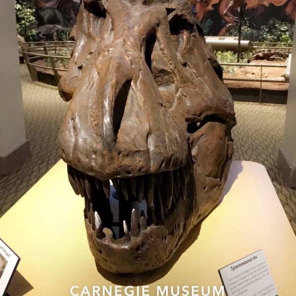 Foto scattata a Carnegie Museum of Natural History da Ian E. il 2/17/2019