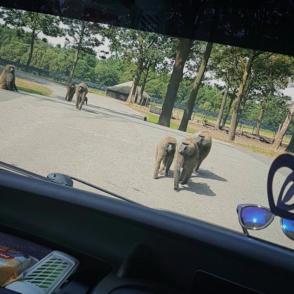 Photo taken at Knowsley Safari by Саша on 8/4/2018