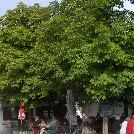 Foto tirada no(a) Zum Brunnergarten por gaststatte biergarten zum brunnergarten em 1/6/2016
