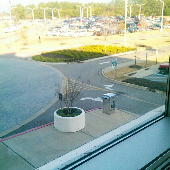 My Image 15