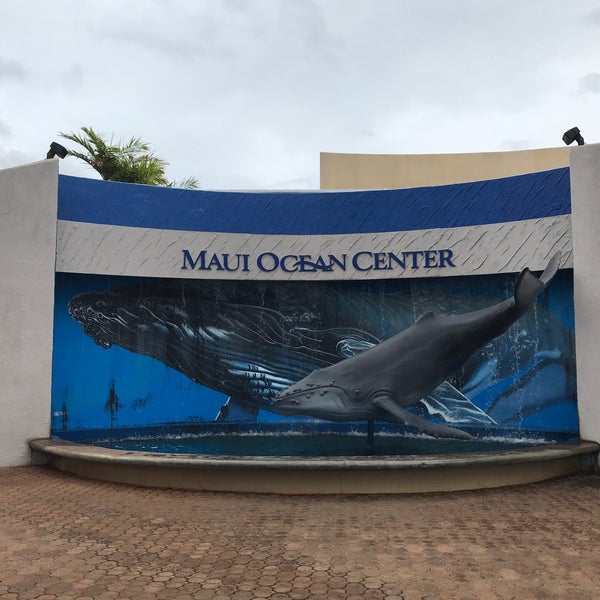 Photo taken at Maui Ocean Center, The Hawaiian Aquarium by Sandy F. on 1/12/2020
