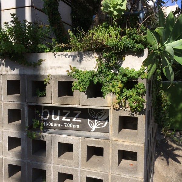 Buzz 恵比寿 80 Visitors