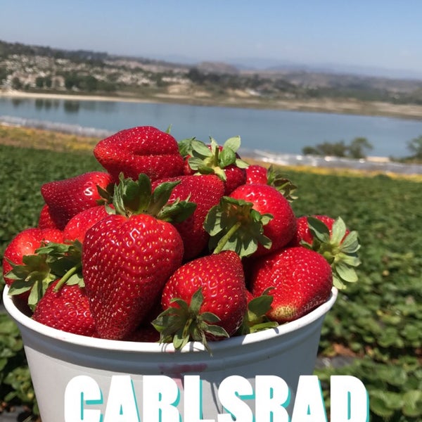 Foto scattata a U-Pick Carlsbad Strawberry Co. da Hani il 5/23/2017