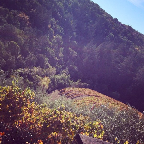 11/8/2014 tarihinde Lauren W.ziyaretçi tarafından Petroni Vineyards'de çekilen fotoğraf