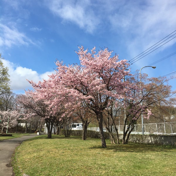 Photos At エドウィン ダン記念公園 30 Visitors