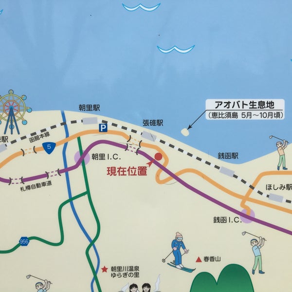 アオバトの森駐車場 19 Visitors