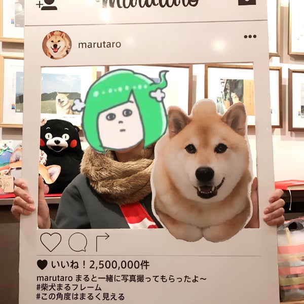 Photos At Gallery Marusan 文京区 東京都