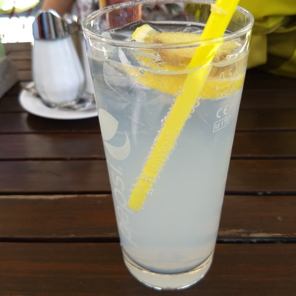 Great homemade lemonade and spritzer.