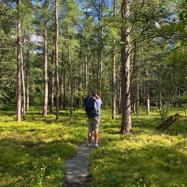 Quaking Bog Trail Map Quaking Bog - Trail In Minneapolis