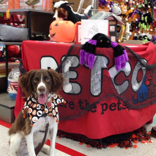 petco on halsted
