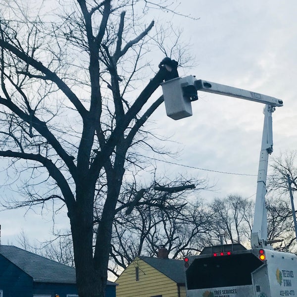 Foto diambil di Tree Services of Omaha oleh Leah B. pada 3/11/2018