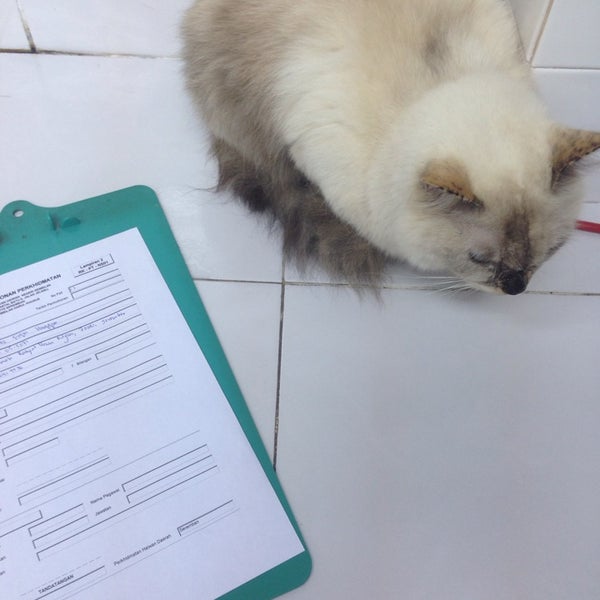 Qvet Find Easily A Doctor And Book Online An Appointment