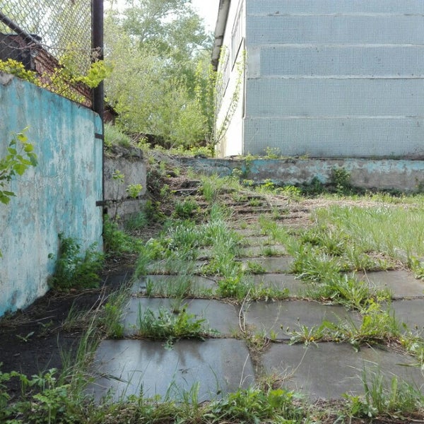 Булавина 12 иркутск. Иркутск булавина 10. Иркутск, ул. Булавина, 10. Иркутский государственный педагогический колледж 1.