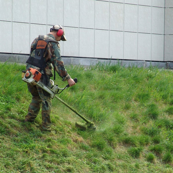 Картинки не спать косить