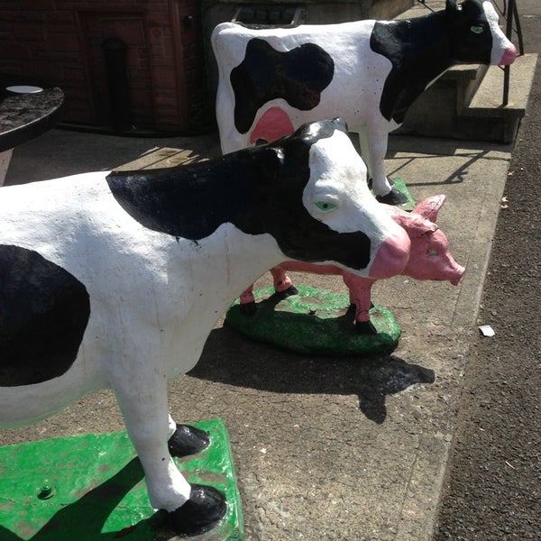 Photos at Boice Bros. Dairy Kingston, NY