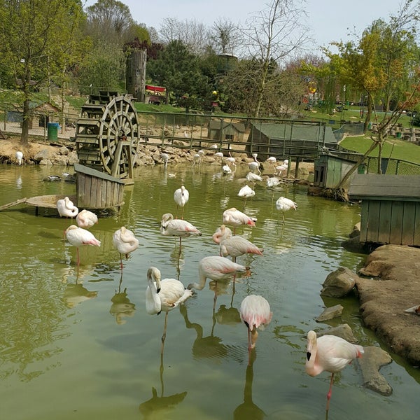 Foto diambil di Polonezköy Hayvanat Bahçesi ve Doğal Yaşam Parkı oleh G. T. pada 4/16/2018