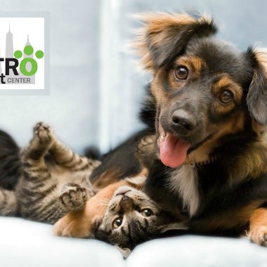 รูปภาพถ่ายที่ Veterinaire Pet Care โดย Veterinaire Pet Care เมื่อ 1/18/2016