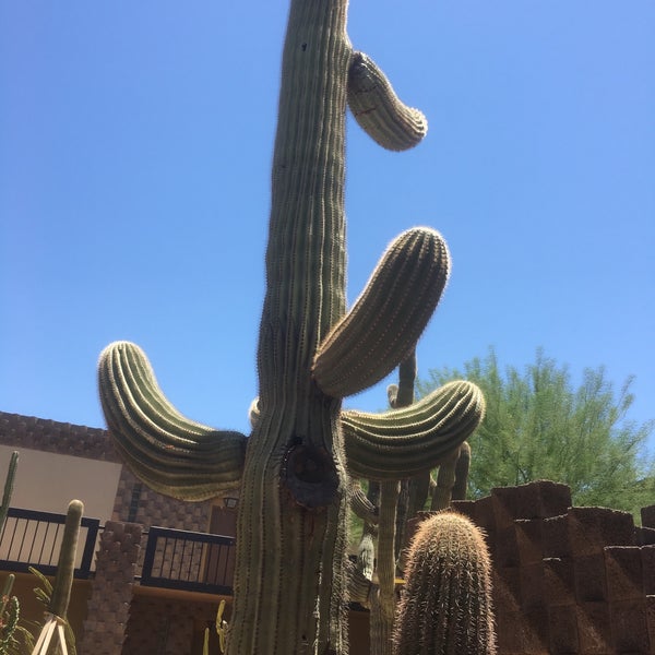 Photo taken at DoubleTree Resort by Hilton Hotel Paradise Valley - Scottsdale by Frankie C. on 7/4/2017