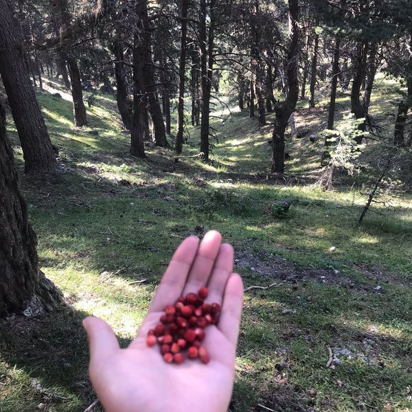Photo taken at Sıklık Tabiat Parkı by ... on 9/4/2019