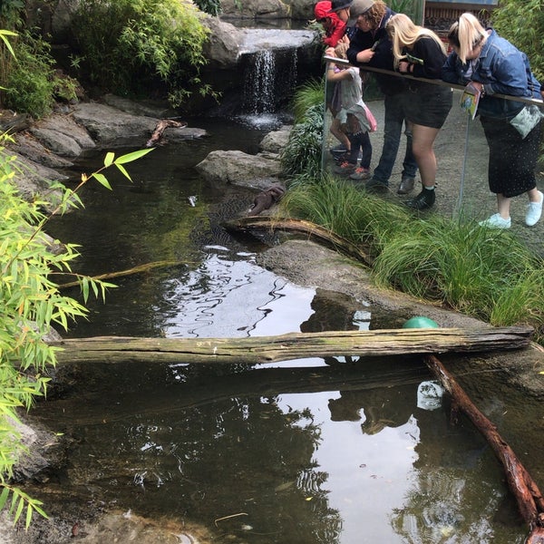 Foto diambil di Auckland Zoo oleh Khim L. pada 10/12/2019