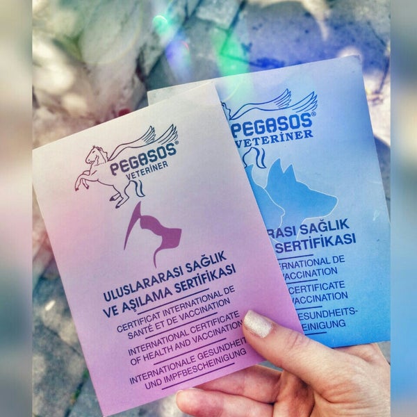 pegasos veteriner klinigi izmir izmir