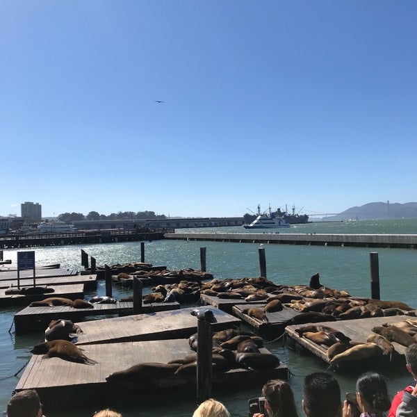 Foto tirada no(a) Pier 39 por Mind Y. em 9/13/2018