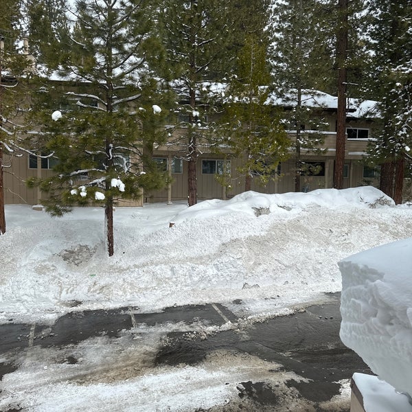 Christmas tree shopping center incline village