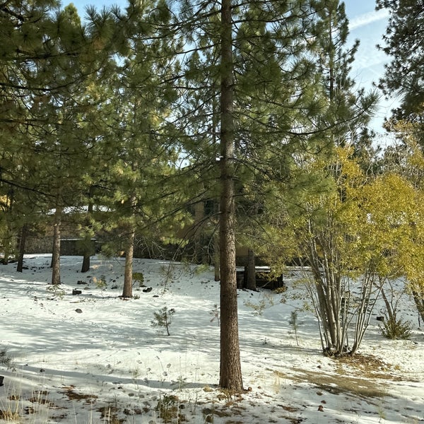 Christmas tree shopping center incline village