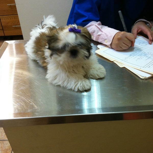 Animal Clinic Of Hollis Court Veterinarian In Flushing