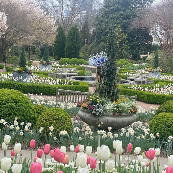 Foto tirada no(a) Atlanta Botanical Garden por Elvyra M. em 3/22/2024