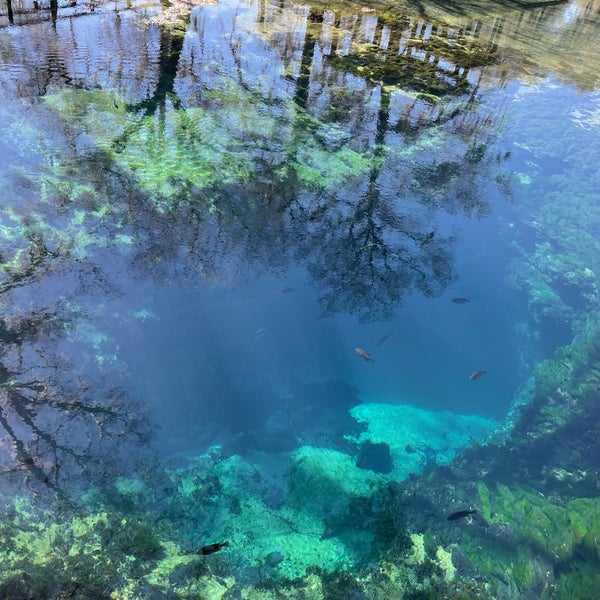 Radium Springs Garden in Radium Springs
