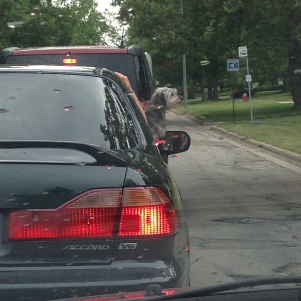 Mushroom Park West Ann Arbor Waltham Drive
