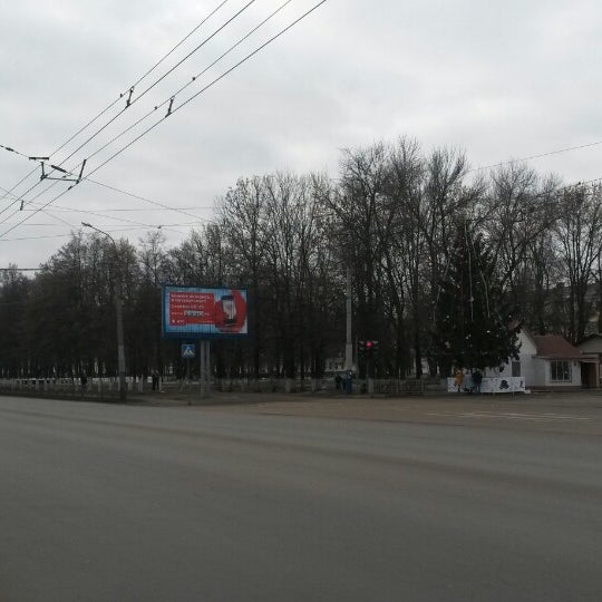 Магазин Чайка Орел