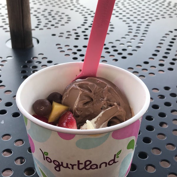 Yogurtland Frozen Yogurt Shop in Anaheim