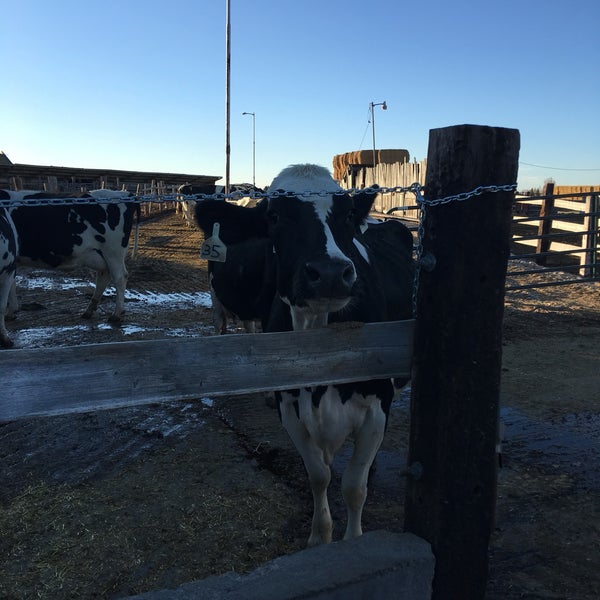 Photos at Reed's Dairy Inc. 2660 W Broadway St
