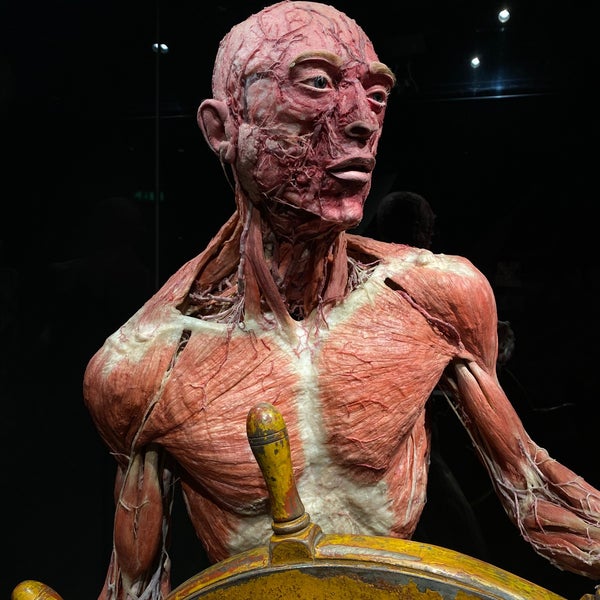 Photo taken at Body Worlds by Zyad Q. on 4/24/2023
