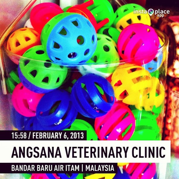 Angsana Veterinary Clinic Veterinarian In Air Itam