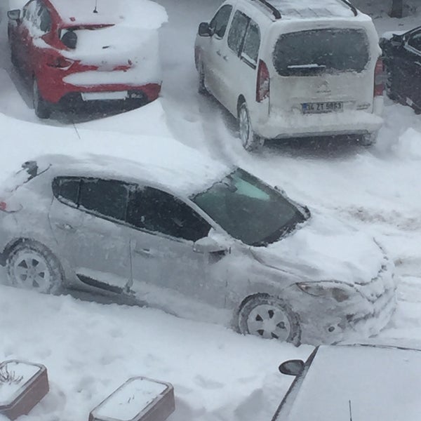 iddia kampanya oyuncak bebekler kaç tl